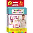 russische bücher:  - Как устроен человек : настольно-печатная развивающая игра. 36 карточек, для детей старше 3-х лет
