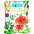 russische bücher: Аксенова Л. - Цветы