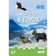 russische bücher:  - Высоко в горах. Наглядно-дидактическое пособие для занятий с детьми 3-7 лет