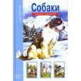 russische bücher: Александрова Е. - Собаки.Школьный путеводитель