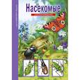 russische bücher: Махлин М. - Насекомые. Школьный путеводитель