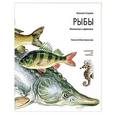 russische bücher: Сладков Н. - Рыбы. Ихтиология в картинках