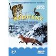 russische bücher:   - Животные средней полосы. Наглядно-дидактическое пособие.