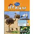 russische bücher:  - Птицы