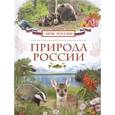 russische bücher: Мокиевская Н.В. Рысакова И.В. - Природа России