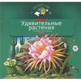 russische bücher: Шустова И.Б. - Удивительные растения. Моя первая книга о природе