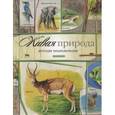 russische bücher: Тихонов А.А. - Живая природа