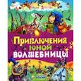 russische bücher: Агинская Е.Н. - Приключения юной волшебницы