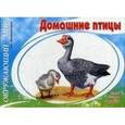 russische bücher:  - Окружающий мир. Домашние птицы