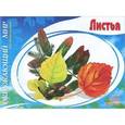 russische bücher:  - Окружающий мир. Листья