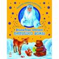 russische bücher: Сост. Шмырева Н.В. - Волшебные истории Бабушки Зимы.