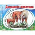 russische bücher:  - Окружающий мир. Домашние животные