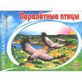 russische bücher:  - Окружающий мир. Перелетные птицы