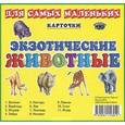 russische bücher:  - Карточки для самых маленьких. Экзотические животные
