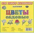 russische bücher:  - Карточки для самых маленьких. Цветы садовые
