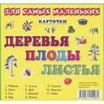 russische bücher:  - Карточки для самых маленьких. Деревья, плоды, листья