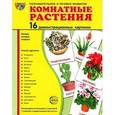 russische bücher: Сост. Лебедева А.С. - Комнатные растения (набор из 16 демонстрационных картинок)