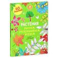 russische bücher: Покидаева Татьяна - Рисуем, раскрашиваем, играем. Растения