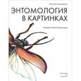 russische bücher: Танасийчук Виталий Николаевич - Энтомология в картинках