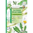 russische bücher:   - Растения России. Определитель
