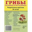 russische bücher:  - Грибы. Съедобные и несъедобные. Раздаточные карточки