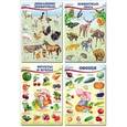 russische bücher:  - Комплект познавательных мини-плакатов "Домашние, лесные животные, фрукты и ягоды, овощи"
