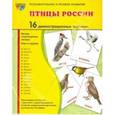 russische bücher: Цветкова Т.В. - Демонстрационные картинки "Птицы России" (16 картинок)