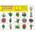 russische bücher:  - Демонстрационный плакат. Комнатные растения, А2