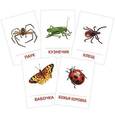 russische bücher:  - Насекомые (набор из 16 карточек)
