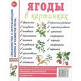 russische bücher:  - Ягоды в картинках. Наглядное пособие для педагогов, логопедов, воспитателей и родителей