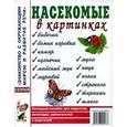 russische bücher:  - Насекомые в картинках. Наглядное пoсобие для педагогов, логопедов.