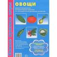 russische bücher: Косинова Е.М. - Овощи: демонстрационные интерактивные карточки по развитию речи