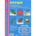 russische bücher: Косинова Е.М. - Овощи: демонстрационные интерактивные карточки по развитию речи