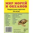 russische bücher:  - Мир морей и океанов (набор из 16 карточек)