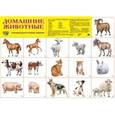 russische bücher:  - Демонстрационный плакат. Домашние животные