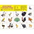 russische bücher:  - Демонстрационный плакат. Декоративные и домашние птицы