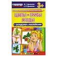 russische bücher: Циновская М. Г. - Цветы, грибы, ягоды с загадками и наклейками.