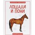 russische bücher: Бедуаер К. - Лошади и пони