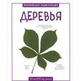 russische bücher: Бедуаер К. - Деревья