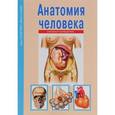 russische bücher: Афонькин Сергей Юрьевич - Анатомия человека. Школьный путеводитель