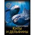 russische bücher: Савостин Михаил - Энциклопедия. Киты и дельфины
