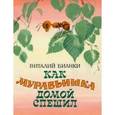 russische bücher: Бианки Виталий Валентинович - Как муравьишка домой спешил