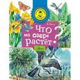 russische bücher:   - Что на озере растет?