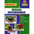 russische bücher:  - Жизнь насекомых. "Природа". Демонстрационный материал.