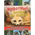 russische bücher: Майоров В. И. - Животные, которые нас удивили.