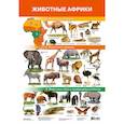 russische bücher:  - Плакат Животные Африки /2705/