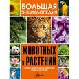 russische bücher:   - Большая энциклопедия животных и растений