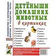 russische bücher:  - Детеныши домашних животных в картинках. Наглядное пособие для педагогов, воспитателей и родителей