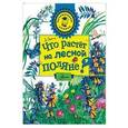 russische bücher:   - Что растёт на лесной поляне?