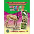 russische bücher:  - Обучающие карточки. Прерии и степи